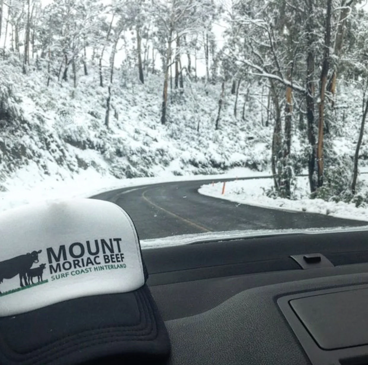 Mount Moriac Beef Hat - Image 4